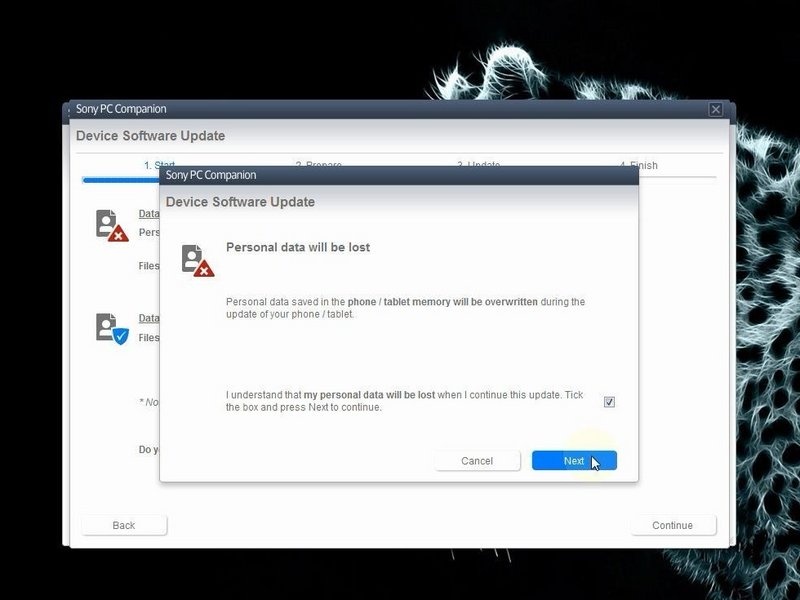Select Repair and Review Erasure Warning