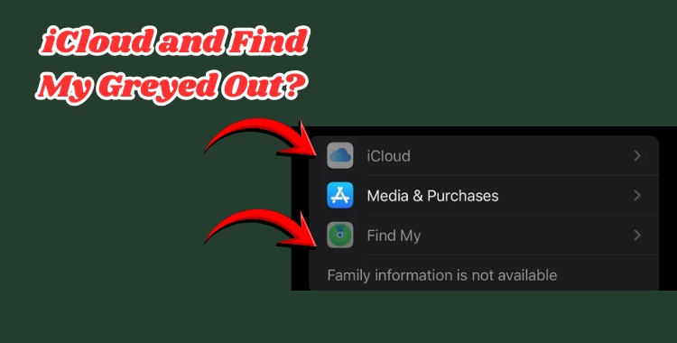Enable Icloud and Find My