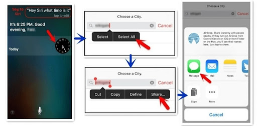 siri bypass iphone passcode