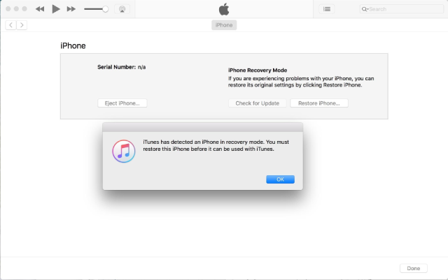 restore iphone in itunes